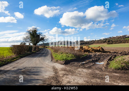 Vista lungo la via dei pellegrini al fondo del North Downs vicino a Westerham, Kent, Regno Unito Foto Stock