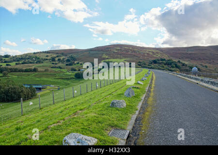 Llyn Celyn serbatoio costruito tra il 1960 e il 1965 nella valle del fiume Tryweryn in Gwynedd Galles del Nord Foto Stock