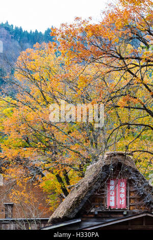 Gassho-zukuri house con acero gli sfondi in Shirakawa-go l'autunno. Shirakawa-go è uno del Giappone del Patrimonio Mondiale UNESCO Sit Foto Stock