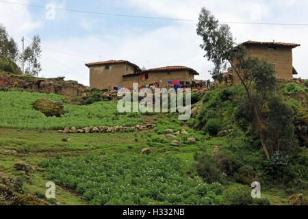 Agricoltore tradizionale casa in montagna peruviane con la loro biancheria appesa al di fuori. Foto Stock
