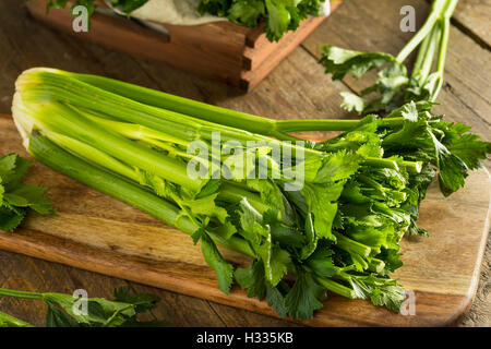 Materie Verde biologico Sedano pronto a mangiare Foto Stock