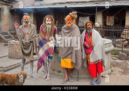 Sadhu indù, uomo santo, a Pashupatinath, Valle di Kathmandu, Nepal, Asia Foto Stock