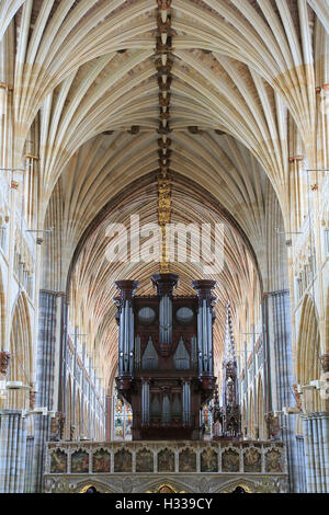 Organo, la Chiesa Cattedrale di San Pietro, Exeter Devon, Inghilterra, Regno Unito Foto Stock