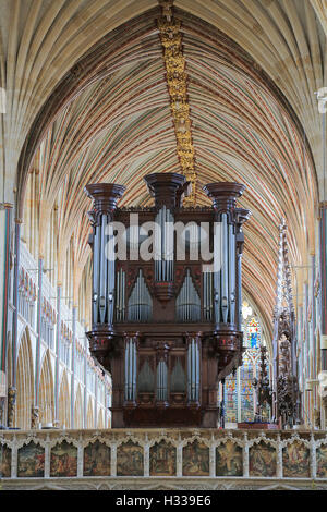 Organo, la Chiesa Cattedrale di San Pietro a Exeter, Exeter Devon, Inghilterra, Regno Unito Foto Stock