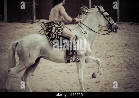 Gladiatori combattere in arena, cavalli e carri nella ROM Foto Stock