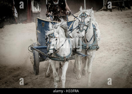 Gladiatori combattere in arena, cavalli e carri nella ROM Foto Stock