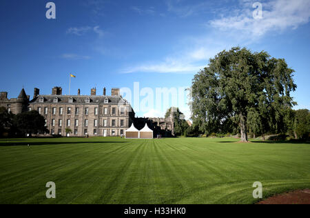 Uno dei due olmi di Wentworth alti 100 metri e scoperti all'interno del Palazzo di Holyroodhouse, la residenza ufficiale della Regina in Scozia. Foto Stock