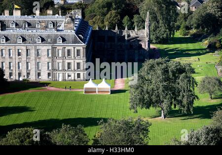 Uno dei due olmi di Wentworth alti 100 metri e scoperti all'interno del Palazzo di Holyroodhouse, la residenza ufficiale della Regina in Scozia. Foto Stock