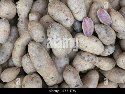 Sfondo di materie di patate per la vendita nel negozio di generi alimentari Foto Stock