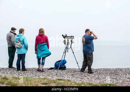 Whale and Dolphin watchers cercando gli animali marini a Chanonry Point nella nebbia, Moray Firth, Scotland, Regno Unito Foto Stock