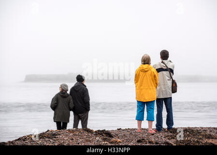 Whale and Dolphin watchers cercando gli animali marini a Chanonry Point nella nebbia, Moray Firth, Scotland, Regno Unito Foto Stock