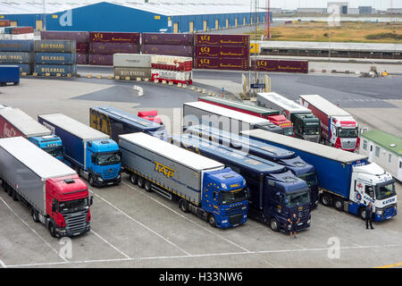 I contenitori e i carrelli in attesa di bordo roll-on/roll-off / roro nave merci nel porto di Zeebrugge, Belgio Foto Stock