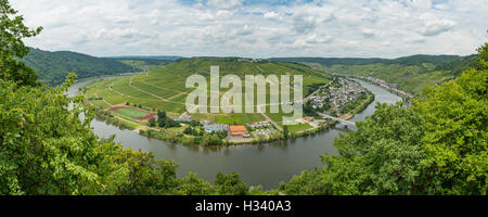 Zeller Hamm del Fiume Mosella Panorama, Zell, Renania-Palatinato, Germania Foto Stock