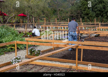 Cantina lavoratori, giardini culinario, B nelle cantine dei vigneti e della cantina, Oakville, la Valle di Napa NAPA County, California Foto Stock