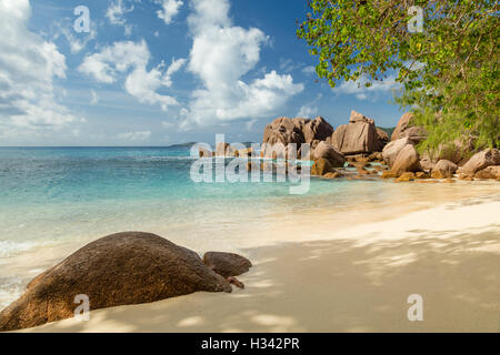 Bella Seychelles spiaggia tropicale Anse Source d Argent al La Digue Island Foto Stock