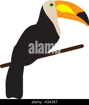 Illustrazione vettoriale di un tucano uccello colorato su sfondo bianco Illustrazione Vettoriale