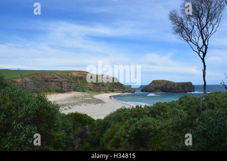 Bushranger's Bay a Cape Schanck, Victoria, Australia. Foto Stock