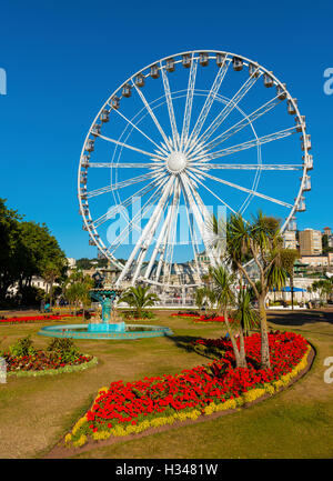 Occhio di Torquay, Sud prosciutti, Torquay, Devon, Regno Unito Foto Stock
