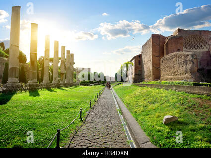 Strada al Foro Romano dal Colosseo a Roma, Italia Foto Stock