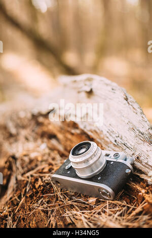 35mm vecchio Vintage retrò Telemetro Small-Format Fotocamera sul vecchio Legno di caduto albero nella foresta. Foto Stock