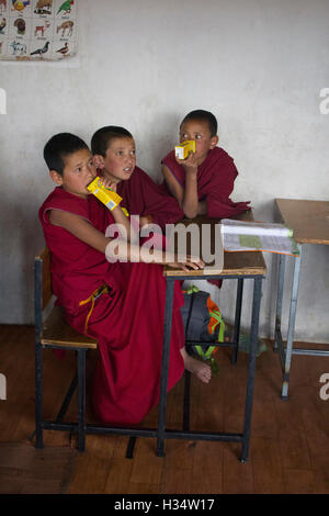 Gli studenti del monastero di Thiksey sorseggiando un drink freddo , Jammu e Kashmir India Foto Stock