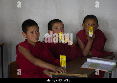 Gli studenti del monastero di Thiksey sorseggiando un drink freddo , Jammu e Kashmir India Foto Stock