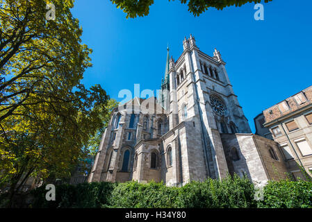 San Pierre Cattedrale di Ginevra in Svizzera Foto Stock