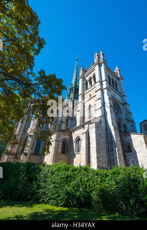 San Pierre Cattedrale di Ginevra in Svizzera Foto Stock