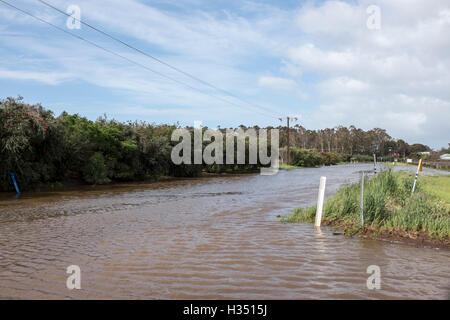 Langhorne Creek, Sud Australia. 4 Ottobre, 2016. In un invaso strada in Langhorne Creek Australia del Sud dopo il diluvio rigonfie Bremer burst del fiume le sue banche, a sud di Adelaide. La terza emergenza alluvioni in due settimane. Ray Warren/Alamy Live News Foto Stock