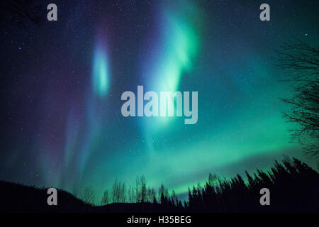 Alaska, Stati Uniti d'America. 5 Ottobre, 2016. L'Aurora Boreale o Northern Lights illumina il cielo notturno su Chena River State Recreation Area vicino a Fairbanks, Alaska, Stati Uniti, il 5 ottobre, 2016. Credito: Li Changxiang/Xinhua/Alamy Live News Foto Stock