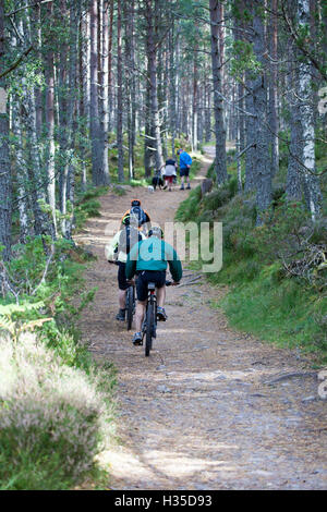 Ciclista e walkers godendo il percorso attorno a Loch un Eilien e attraverso la foresta di Rothiemurchus, Rothiemurchus Estate, Scotland, Regno Unito Foto Stock