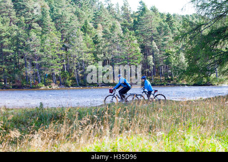 Ciclista escursioni in bicicletta attorno a Loch un Eilien sul Rothiemurchus Estate, Aviemore, Scozia Foto Stock