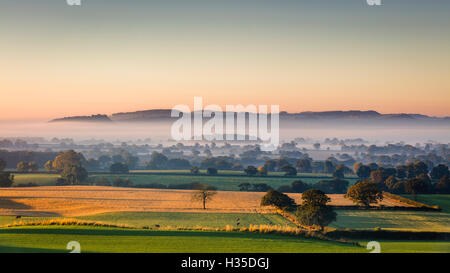 Bassa autunno. La luce del mattino e rastrelli in tutta la pianura del Cheshire con Beeston Castle e la pietra arenaria Peckforton ridge, Cheshire, Regno Unito Foto Stock