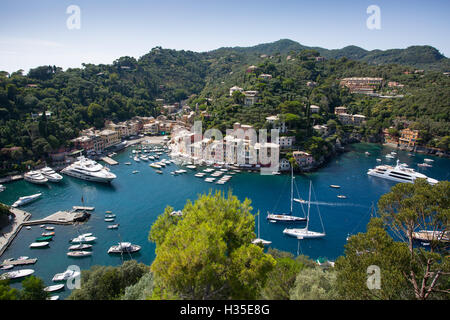 Vista del porto dal Castello, Portofino, Genova (Genova), Liguria, Italia Foto Stock