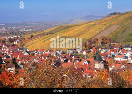 Struempfelbach, vigneti in autunno, Rem Murr District, Baden-Württemberg, Germania Foto Stock