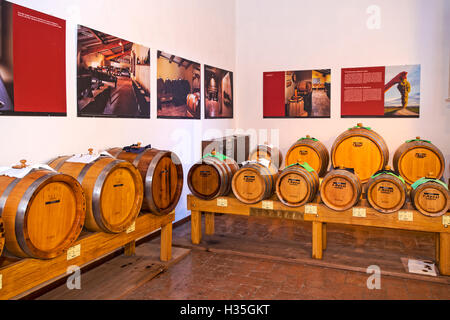 Italia Emilia Romagna Modena Piazza Grande - Patrimonio dell'Umanità dell'UNESCO - Municipio - Aceto comunale di aceto balsamico tradizionale Foto Stock