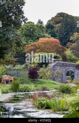 Autunno vista sul lago Arboretum per il giardino murato al Garden House, Buckland Monachorum, DEVON REGNO UNITO Foto Stock