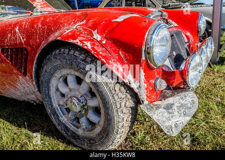 Estremità anteriore danno sul 1967 Austin Healey 3000 mk3 di Michael Darcey al 2016 Goodwood Festival of Speed, Sussex, Regno Unito Foto Stock