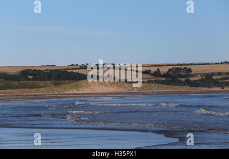 Vista in lontananza la rovina del castello di rosso e lunan bay angus scozia ottobre 2016 Foto Stock