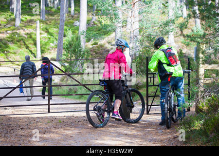 I ciclisti e gli amanti delle passeggiate godendosi il sentiero attorno a Loch un Eilein, Rothiemurchus Estate, Rothiemurchus, Aviemore, altopiani, Scozia Foto Stock