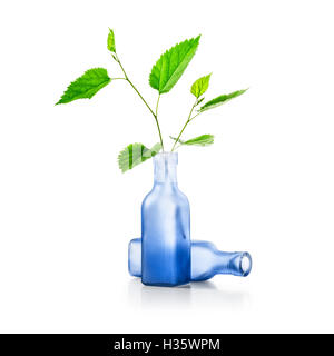 Molla verde ramo di foglie in vaso. Bottiglia blu con piante di guarigione. Design floreale. Oggetti isolati su sfondo bianco Foto Stock