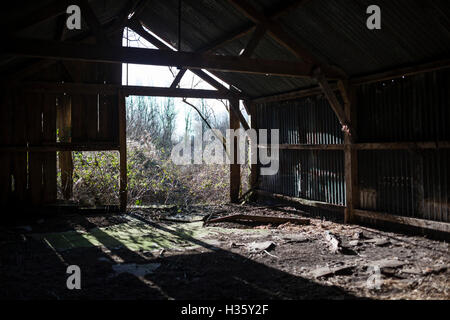 Il vecchio malandato tettoia in legno ricoperta in boccole adn non ti ricordi circa. Foto Stock