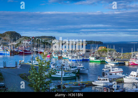 Barche da pesca nel porto di Port de Grave, Terranova e Labrador, Canada. Foto Stock