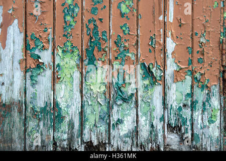 Vecchio weathered porta in legno con peeling di verde e marrone vernice Foto Stock