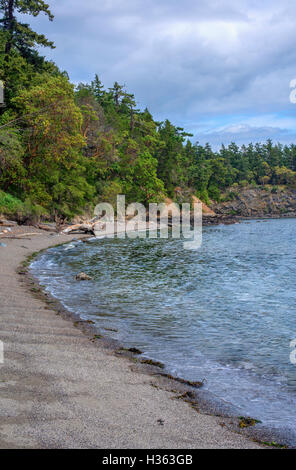 Stati Uniti d'America, Washington, San Juan Islands, Orcas Island, ostruzione Pass stato parco, spiaggia di ghiaia e la foresta di madrone e abete di Douglas Foto Stock