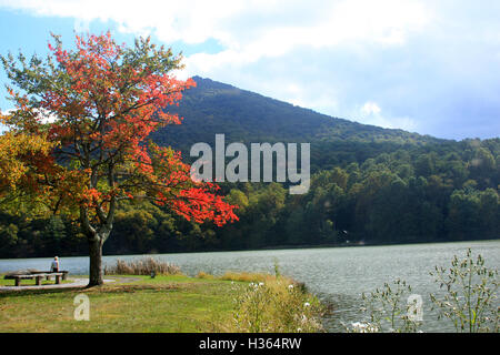 Virginia, Stati Uniti d'America. Vista del lago di Abbott e Sharp Top in autunno. Foto Stock