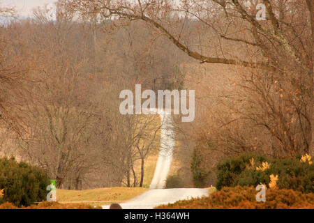 Strada di campagna nelle zone rurali di Virginia, con alberi senza foglie, in novembre Foto Stock