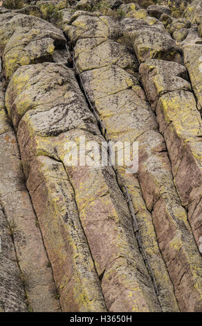 Rimane storico di scala utilizzato dai primi alpinisti, Devil's Tower monumento nazionale, Wyoming. Foto Stock