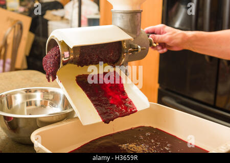 Polpa di uva che attraversa un passaverdure per ottenere più succo da tendere attraverso un sacchetto può da sola, Foto Stock