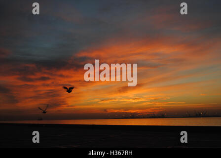 Due uccelli volare su Doha, Qatar come intense tonalità rosso riempiono il cielo durante un maestoso sunrise. Foto Stock